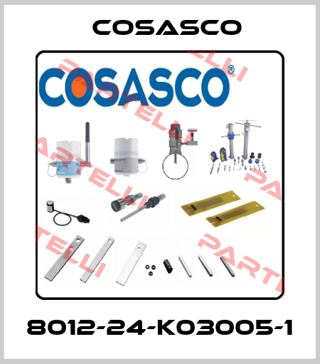 8012-24-K03005-1 Cosasco