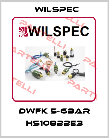 DWFK 5-6BAR HS10822E3 Wilspec