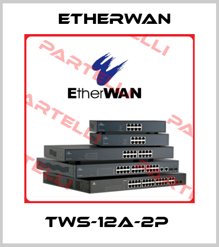 TWS-12A-2P  Etherwan