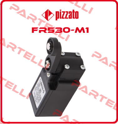 FR530-M1 Pizzato Elettrica