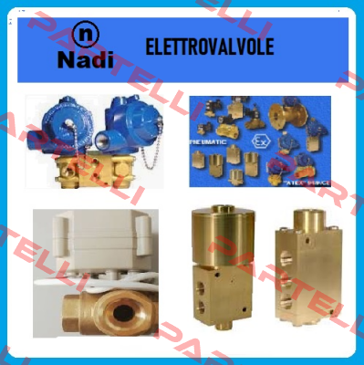 C03T18C0B/24VDC /NPT Nadi