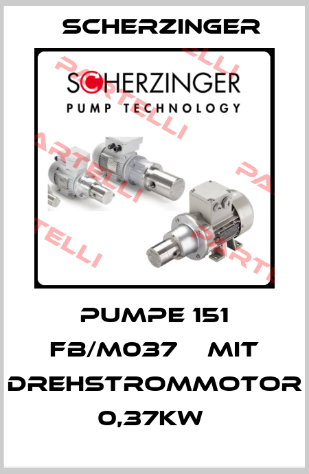 Pumpe 151 FB/M037    mit Drehstrommotor 0,37KW  Scherzinger