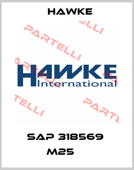 SAP 318569  M25     Hawke