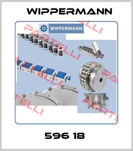 596 18  Wippermann