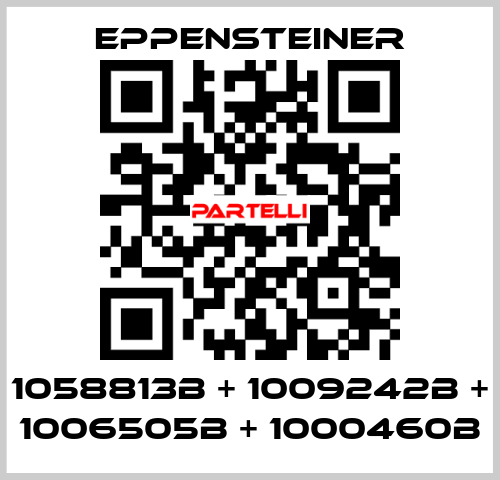 1058813B + 1009242B + 1006505B + 1000460B Eppensteiner