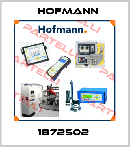 1872502  Hofmann