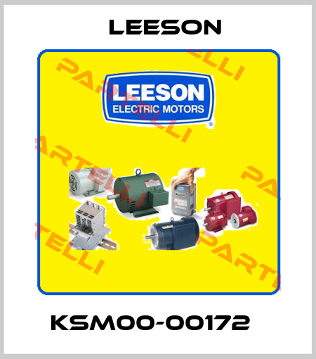 KSM00-00172   LEESON Electric