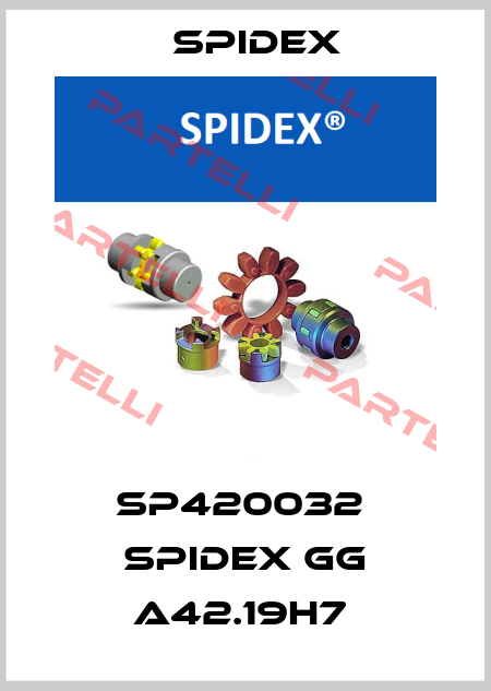 SP420032  SPIDEX GG A42.19H7  Spidex