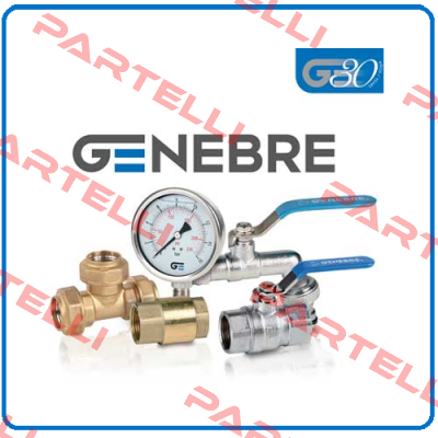 2541E 11 Genebre