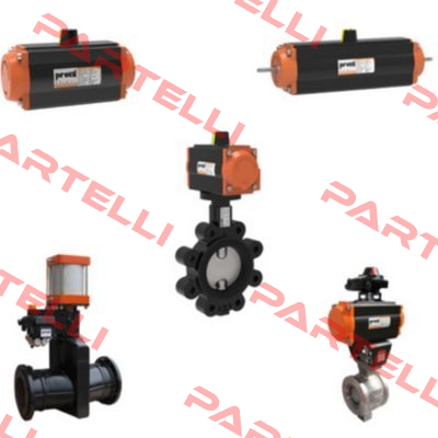 A100FEP4060R.T Proval