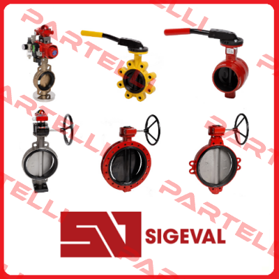 0000000004276 Sigeval