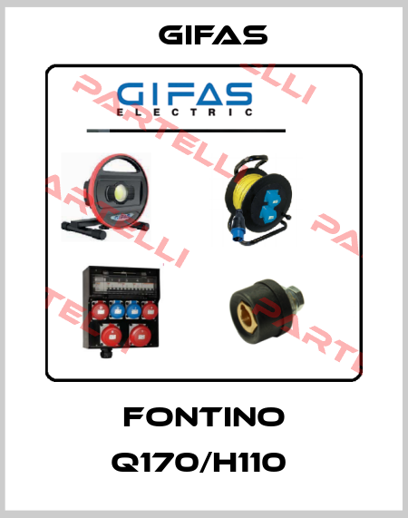 Fontino Q170/H110  GIFAS