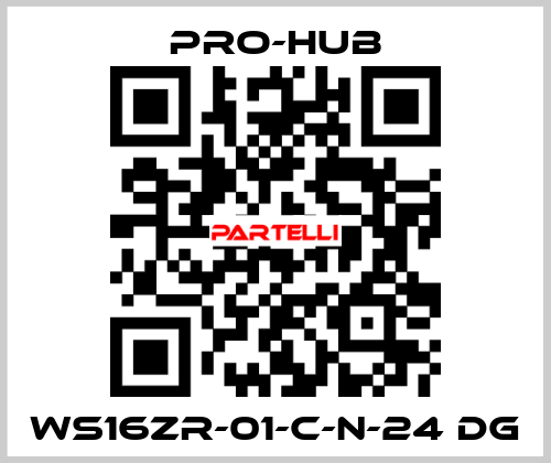 WS16ZR-01-C-N-24 DG Pro-Hub