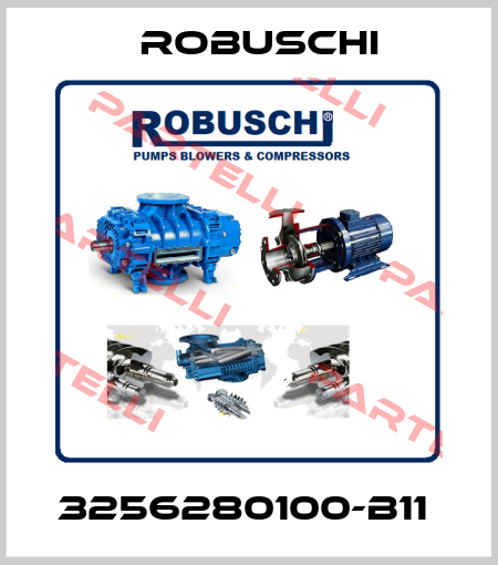 3256280100-B11  Robuschi
