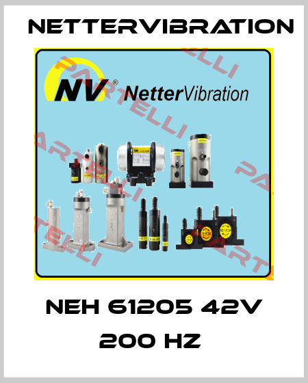NEH 61205 42V 200 Hz  NetterVibration