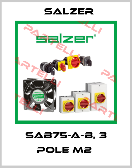 SAB75-A-B, 3 Pole M2  Salzer