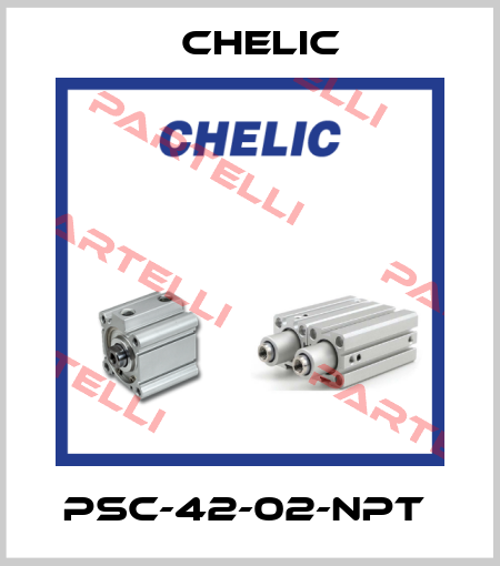 PSC-42-02-NPT  Chelic