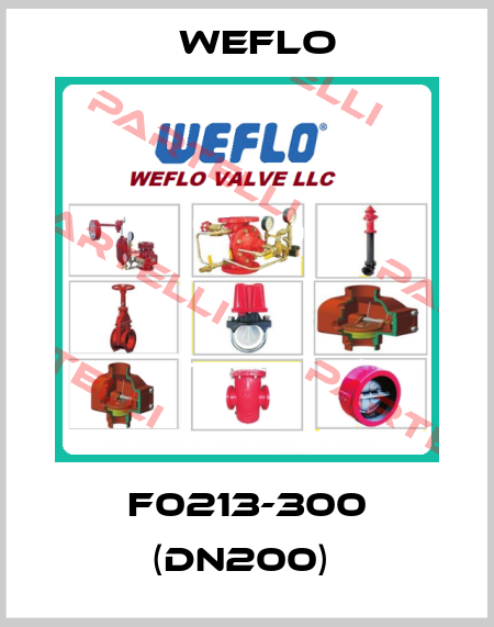F0213-300 (DN200)  Weflo
