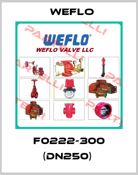 F0222-300 (DN250)  Weflo