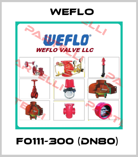 F0111-300 (DN80)  Weflo