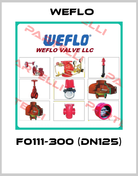 F0111-300 (DN125)  Weflo