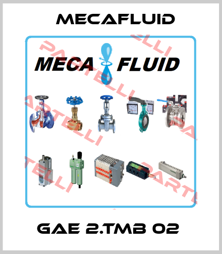 GAE 2.TMB 02  Mecafluid