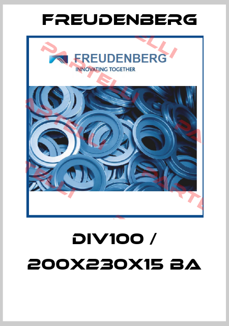 DIV100 / 200X230X15 BA  Freudenberg