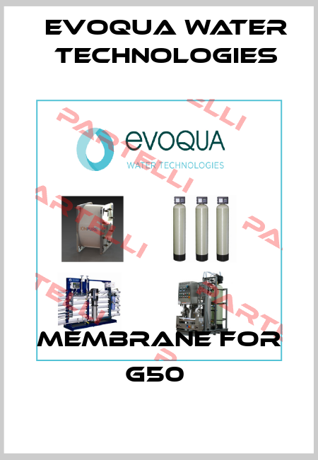 Membrane for G50  Evoqua Water Technologies