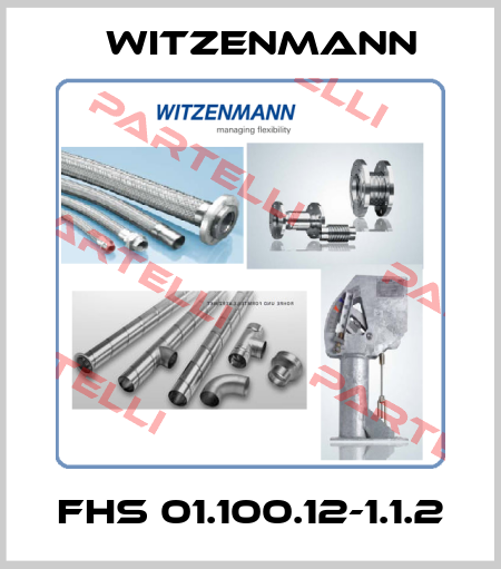 FHS 01.100.12-1.1.2 Witzenmann