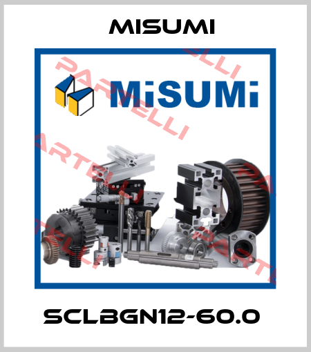 SCLBGN12-60.0  Misumi