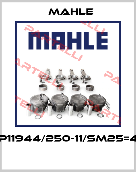 P11944/250-11/SM25=4  MAHLE