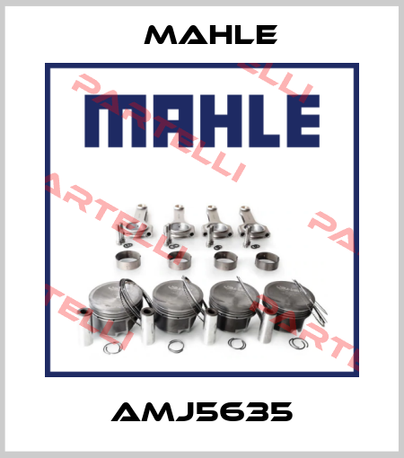 AMJ5635 Mahle