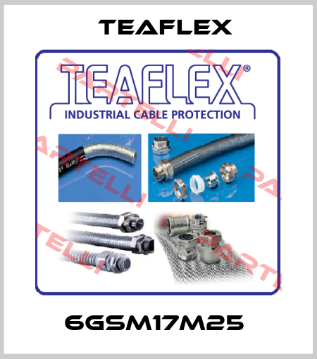 6GSM17M25  Teaflex