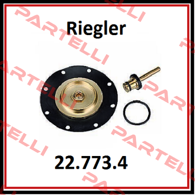 22.773.4 / 100915 Riegler