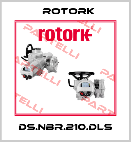DS.NBR.210.DLS Rotork