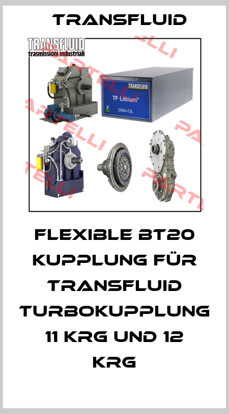 Flexible BT20 Kupplung für Transfluid Turbokupplung 11 KRG und 12 KRG Transfluid