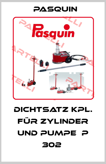 Dichtsatz kpl. für Zylinder und Pumpe  P 302  Pasquin