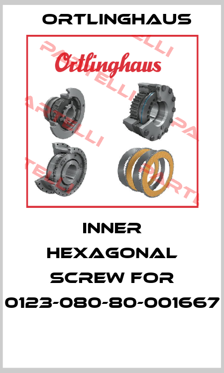 Inner hexagonal Screw for 0123-080-80-001667  Ortlinghaus