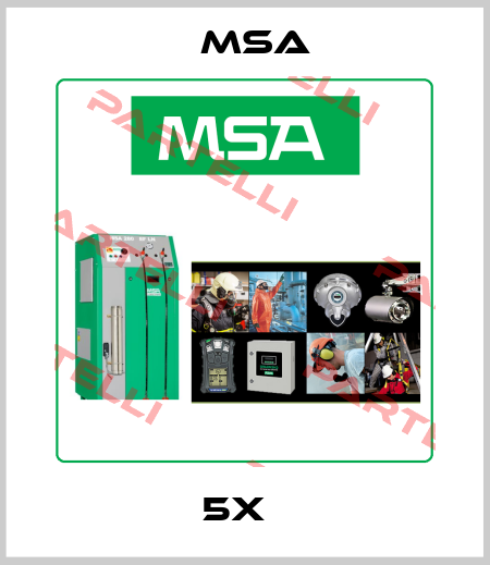 5x   Msa