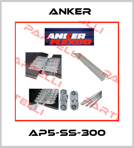 AP5-SS-300 Anker