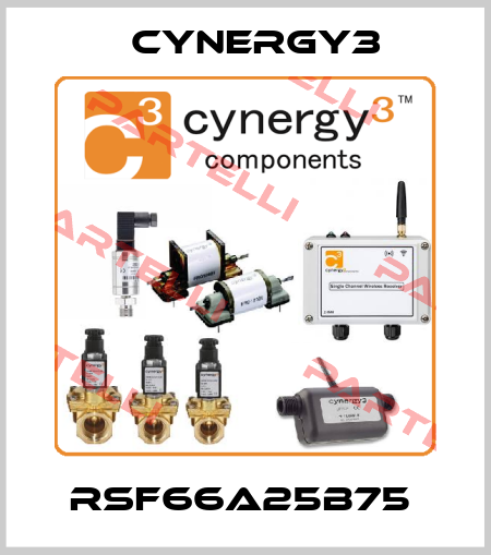 RSF66A25B75  Cynergy3