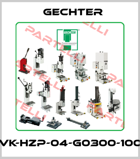VK-HZP-04-G0300-100 Gechter