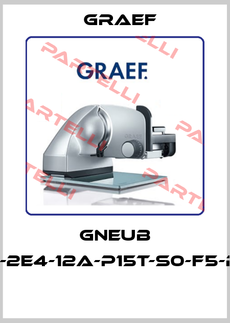 GNEUB DAI-2E4-12A-P15T-S0-F5-R-W  Graef