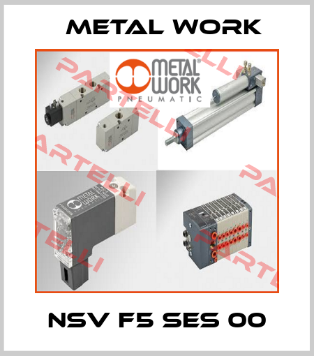 NSV F5 SES 00 Metal Work