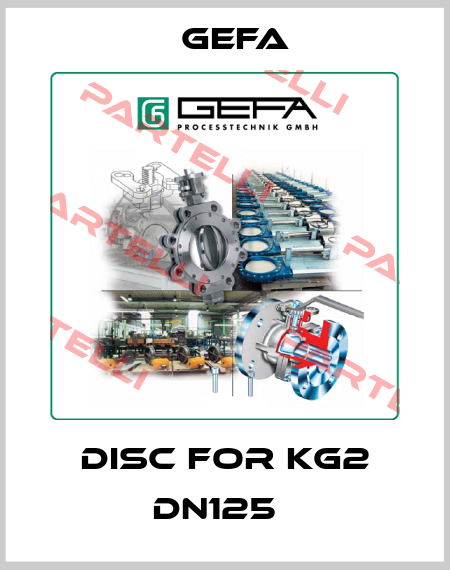 Disc for KG2 DN125   Gefa