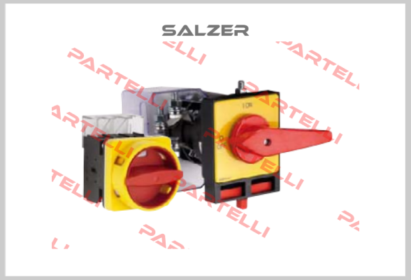H410-41300-483N4 Salzer