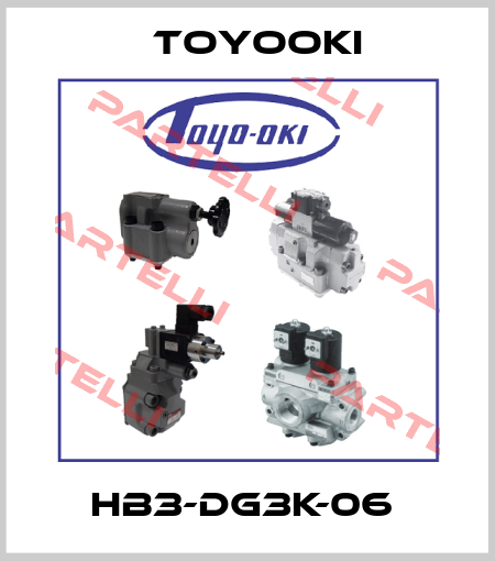 HB3-DG3K-06  Toyooki