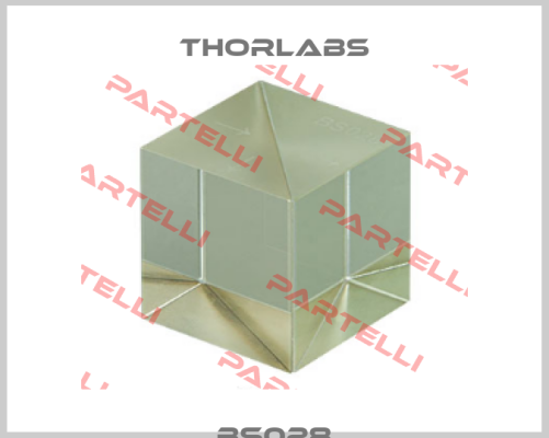 BS028 Thorlabs