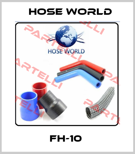 FH-10  HOSE WORLD