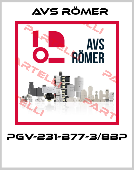 PGV-231-B77-3/8BP  Avs Römer